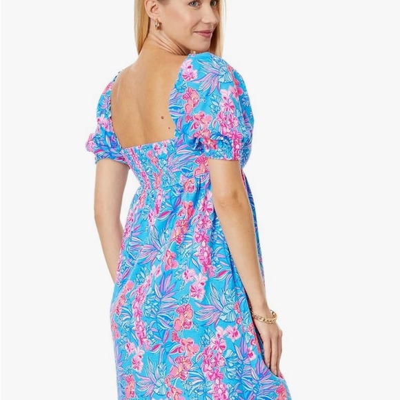 NWT Lilly Pulitzer Delaney Short Sleeve Dress - Picture 4 of 6